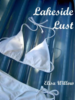 Book cover of Lakeside Lust (Rough Sex)