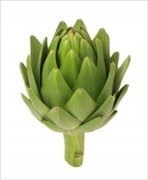 Cover of the book A Crash Course on How to Grow Artichokes by Jaime Gonzalez