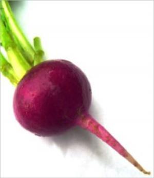 Cover of the book A Crash Course on How to Grow Beets by Michael Carr