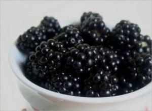 bigCover of the book A Crash Course on How to Grow Blackberries by 