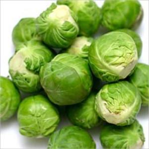 Cover of the book A Crash Course on How to Grow Brussels Sprouts by Zachary Howard