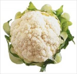 Book cover of A Crash Course on How to Grow Cauliflower