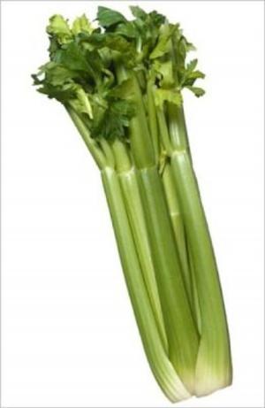 Cover of the book A Crash Course on How to Grow Celery by Marty Klein
