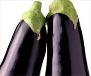 bigCover of the book A Crash Course on How to Grow Eggplants by 