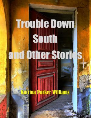 Book cover of Trouble Down South and Other Stories--A Short Story Collection -- Also read Mo' Trouble Down South