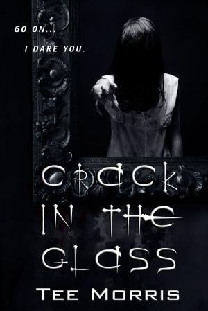 Cover of the book Crack in the Glass by Jake Anderson