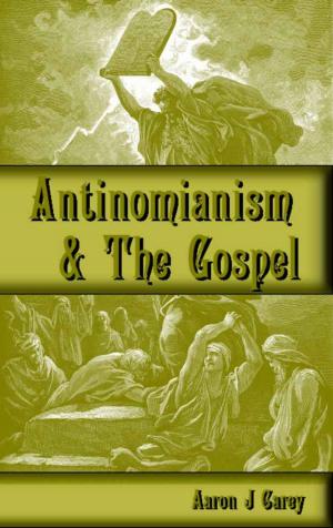 Cover of the book Antinomianism and the Gospel by Nitin Srivastava