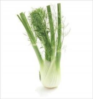 Cover of the book A Crash Course on How to Grow Fennel by Johanna Hines