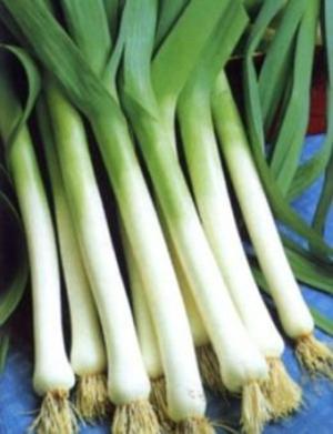 Cover of the book A Crash Course on How to Grow Leeks by Erika Myles