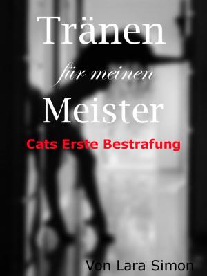 Cover of the book Tränen für meinen Meister - Cats erste Bestrafung by Rebekah Jonesy