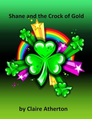 Book cover of Shane and the Crock of Gold