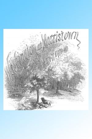 Cover of the book Washington At Morristown 1776-77 & 1779-80, Illustrated by George Nichols, James M'Carter