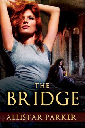 Cover of the book The Bridge by Caitlin Ricci, A.J. Marcus