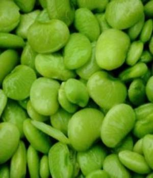 Cover of the book A Crash Course on How to Grow Lima Beans by Lily Thoms