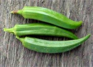 Cover of A Crash Course on How to Grow Okra
