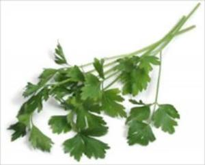Cover of A Crash Course on How to Grow Parsley