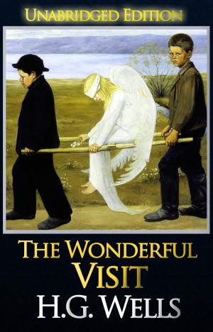 bigCover of the book The Wonderful Visit (Unabridged Edition) by 