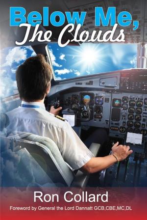 Cover of the book Below Me, the Clouds by Pamela Millyard