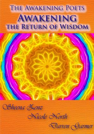 Cover of the book Awakening the Return of Wisdom by Joey Lott