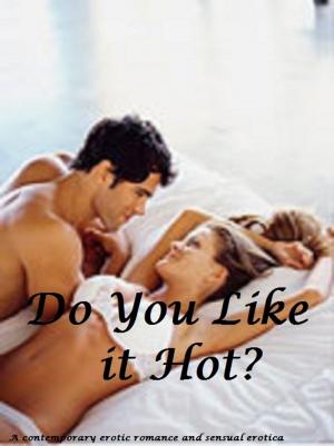 Cover of the book Do You Like it Hot? -erotic romance by Lena Kitten