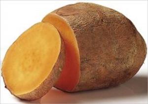 Book cover of A Crash Course on How to Grow Sweet Potatoes