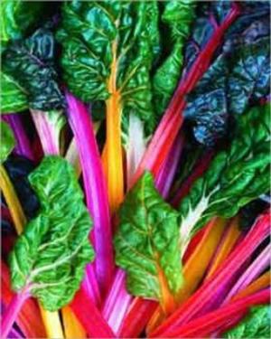 Cover of the book A Crash Course on How to Grow Swiss Chard by Dane Crawford