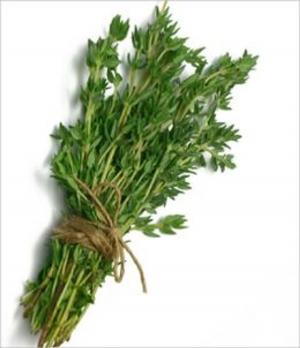 Cover of the book A Crash Course on How to Grow Thyme by Cross Williams