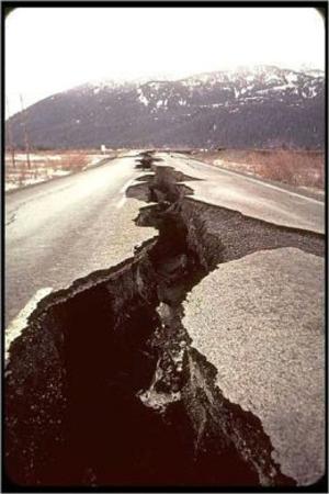 Cover of A Crash Course on How to Survive an Earthquake