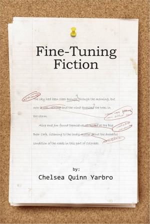 Book cover of Fine Tuning Fiction