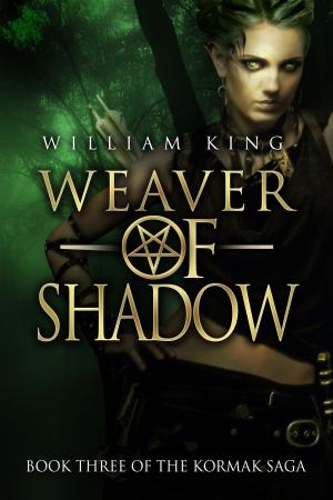 Cover of the book Weaver of Shadow (Kormak Book Three) by Veronika J. Stevens