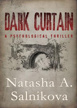 Cover of the book Dark curtain by Glenna Thorson