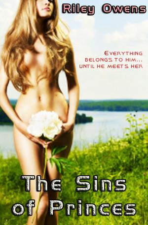 Cover of the book The Sins of Princes: Threesome Gender Swap Erotica by McKenna Danvers
