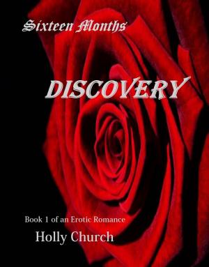 Cover of the book Discovery by Jackie Braun