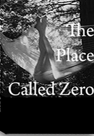 Cover of the book A Place Called Zero by Rogue Medical