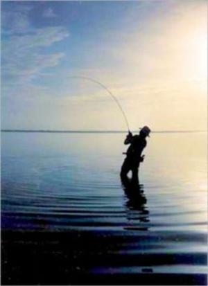 Cover of the book Adventure Fly Fishing: The Best Fly Fishing Spots In The World by Reynaldo Perriott