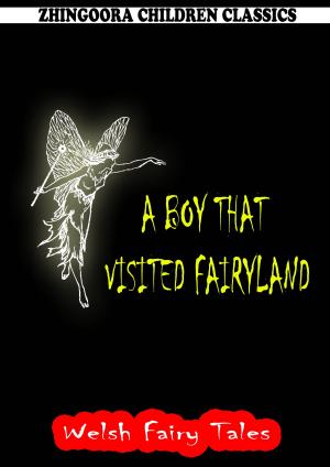 Cover of the book A Boy That Visited Fairyland by Harry Stein