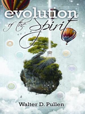 Cover of the book Evolution of the Spirit by Stuart Wilson, Joanna Prentis
