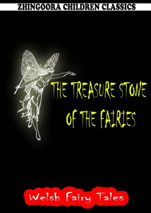 Cover of the book The Treasure Stone Of The Fairies by Zhingoora Books