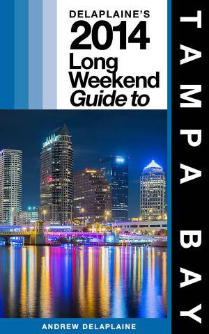 Book cover of Delaplaine’s 2013 Long Weekend Guide to Tampa Bay