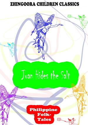 Cover of the book Juan Hides The Salt by John Woolman
