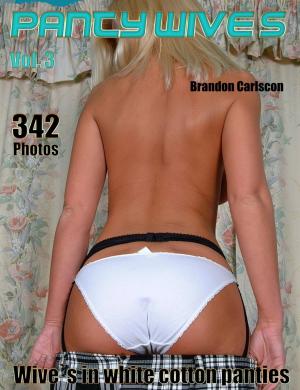 Cover of the book Panty Wive`s by Tim Markertz