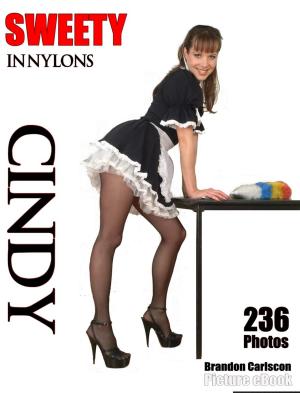 Book cover of Sweety in Nylons Cindy