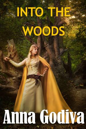 Cover of the book Into the Woods by Anna Harrow