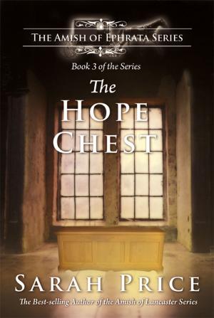 Cover of the book The Hope Chest by Barbara Mcmahon