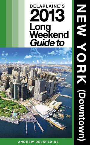 Book cover of Delaplaine’s 2013 Long Weekend Guide to New York (Downtown)