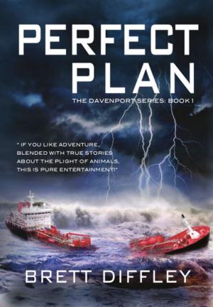 Cover of the book PERFECT PLAN by Hale Chamberlain