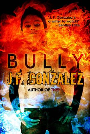 Cover of the book Bully by Sandra Åslund