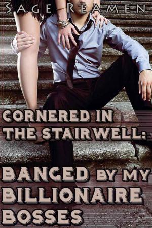 Cover of the book Cornered in the Stairwell: Banged by my Billionaire Bosses by Evelyn Lyes