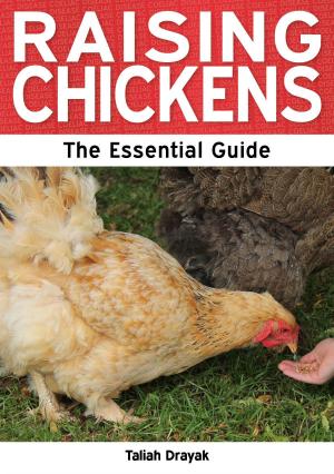 Cover of the book Raising Chickens: The Essential Guide by Nicci Talbot