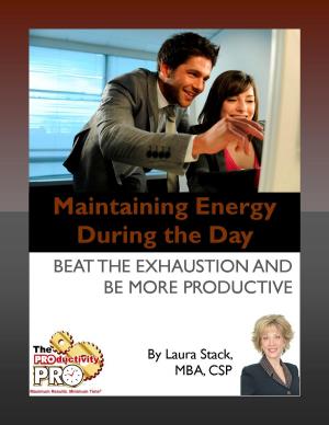 Book cover of Maintaining Energy During the Day